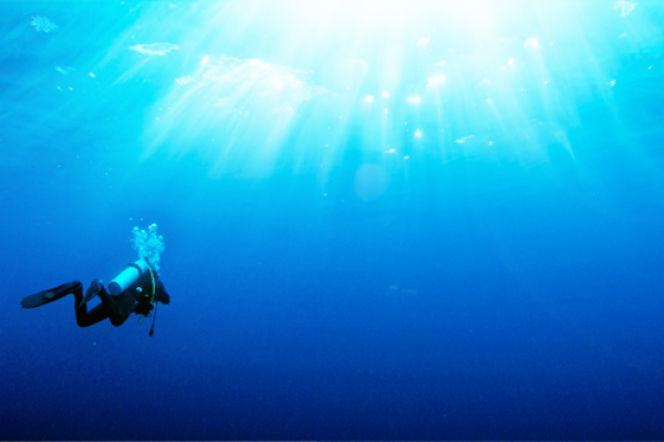Buzo en aguas azules.