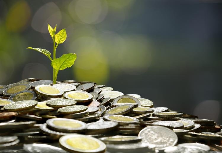 Planta creciendo sobre un montón de monedas.